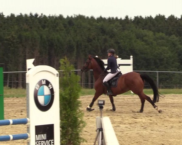 Reitturnier Brilon-Reitanlage Volbracht 2018