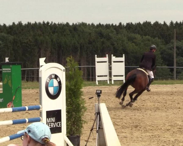 Reitturnier Brilon-Reitanlage Volbracht 2018