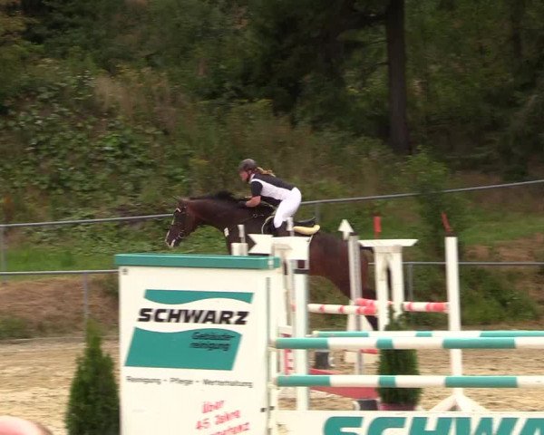 Reitturnier Brilon-Reitanlage Volbracht 2018