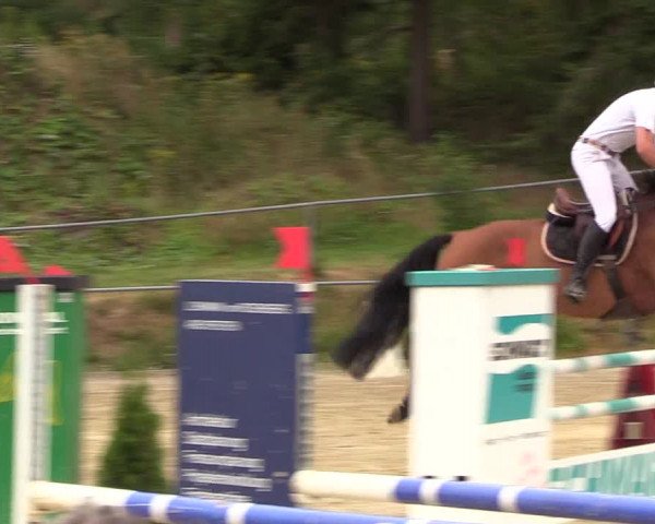 Reitturnier Brilon-Reitanlage Volbracht 2018