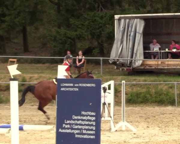 Reitturnier Brilon-Reitanlage Volbracht 2018