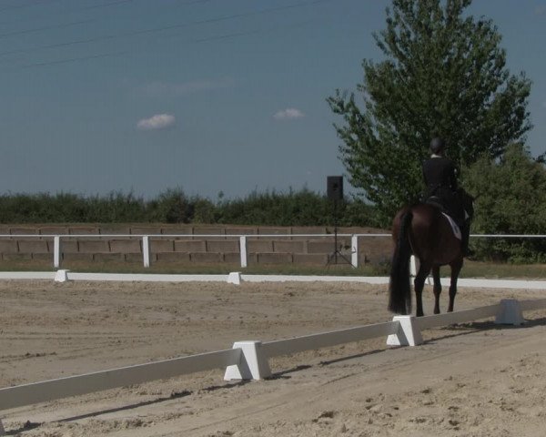 Reitturnier Baschütz bei Bautzen 2018