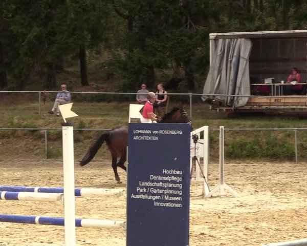 Reitturnier Brilon-Reitanlage Volbracht 2018