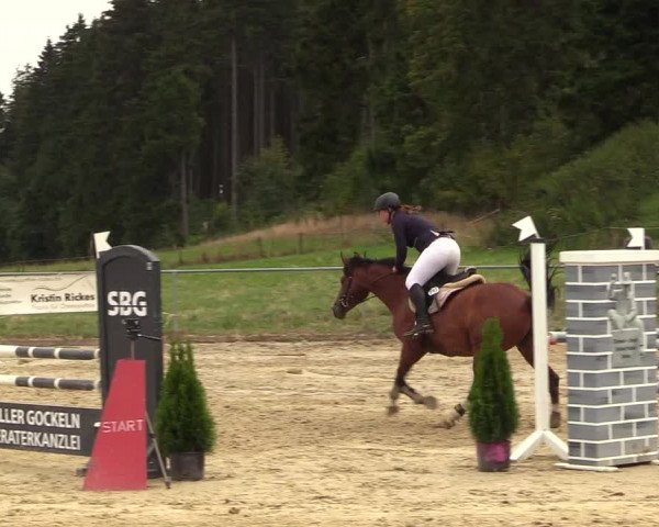 Reitturnier Brilon-Reitanlage Volbracht 2018