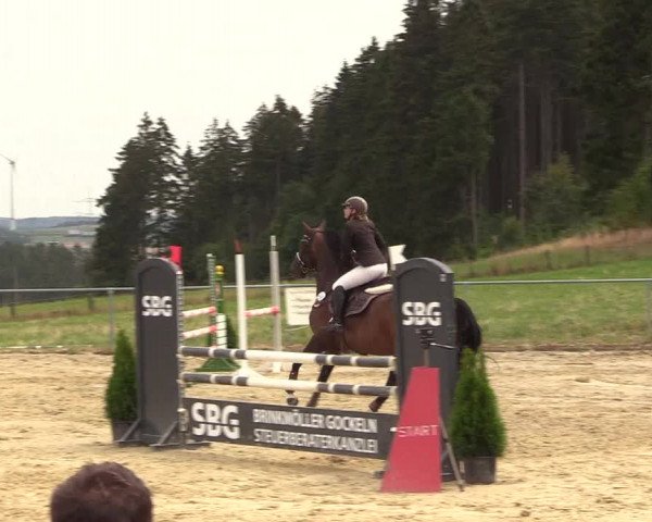 Reitturnier Brilon-Reitanlage Volbracht 2018