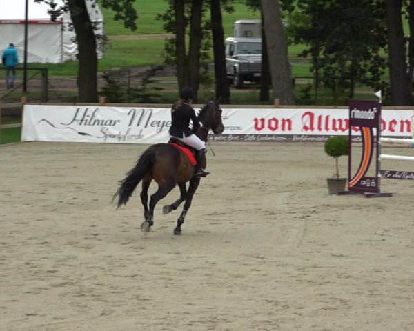 Reitturnier Westergellersen 2021