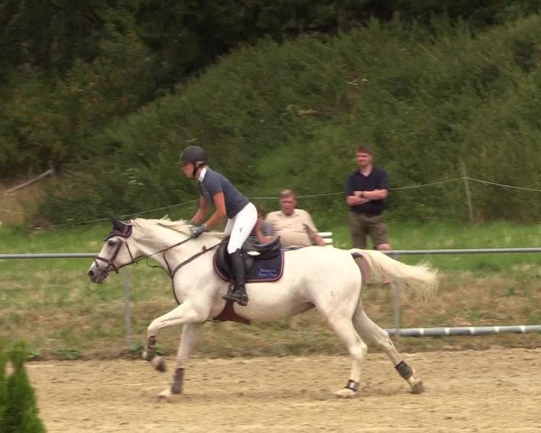 Reitturnier Brilon-Reitanlage Volbracht 2018