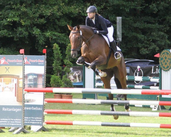 jumper Cello P (Hanoverian, 2012, from Cent 15)