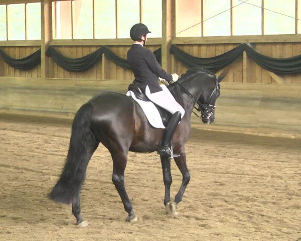 Reitturnier Pellheim-Gerblhof 2018