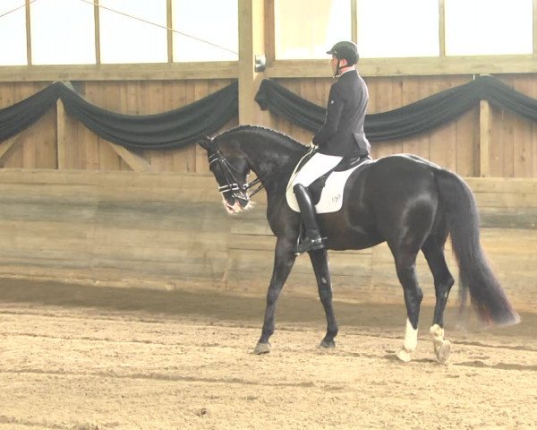 Reitturnier Pellheim-Gerblhof 2018