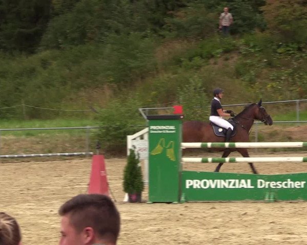 Reitturnier Brilon-Reitanlage Volbracht 2018