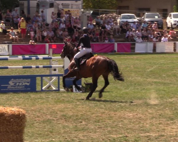 Reitturnier Baschütz bei Bautzen 2018