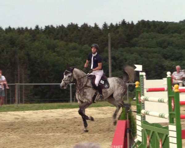Reitturnier Brilon-Reitanlage Volbracht 2018
