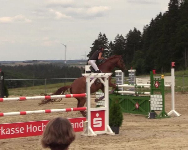 Reitturnier Brilon-Reitanlage Volbracht 2018