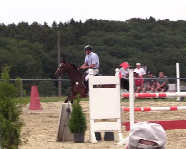 Reitturnier Brilon-Reitanlage Volbracht 2018