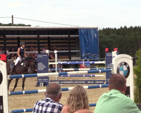 Reitturnier Brilon-Reitanlage Volbracht 2018