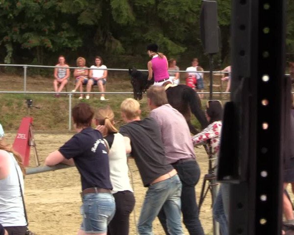 Reitturnier Brilon-Reitanlage Volbracht 2018