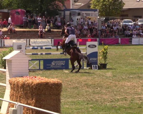Reitturnier Baschütz bei Bautzen 2018