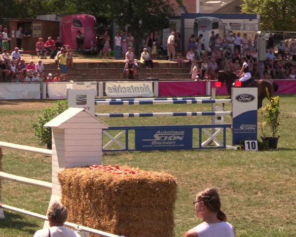 Reitturnier Baschütz bei Bautzen 2018
