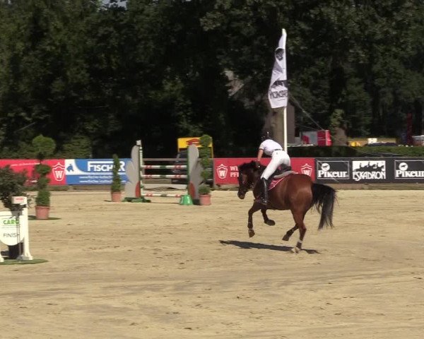 Reitturnier Münster-Handorf 2018