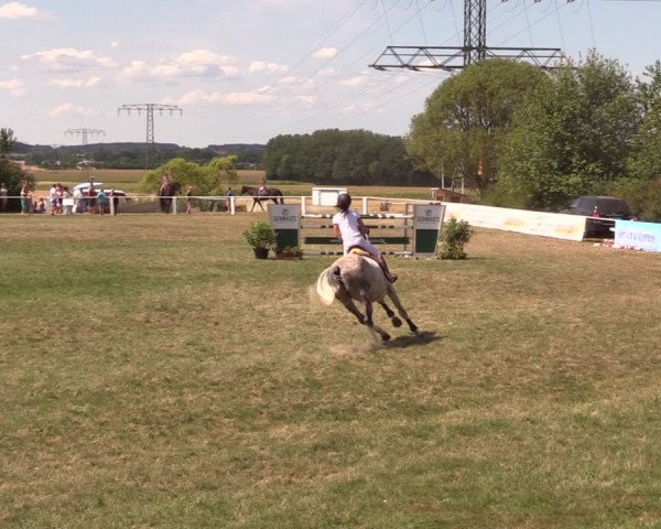 Reitturnier Baschütz bei Bautzen 2018