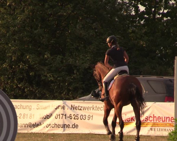 Reitturnier Baschütz bei Bautzen 2018