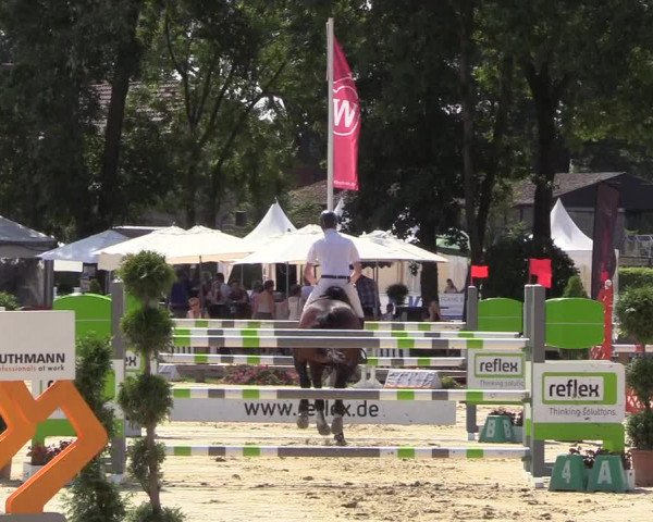 Reitturnier Münster-Handorf 2018