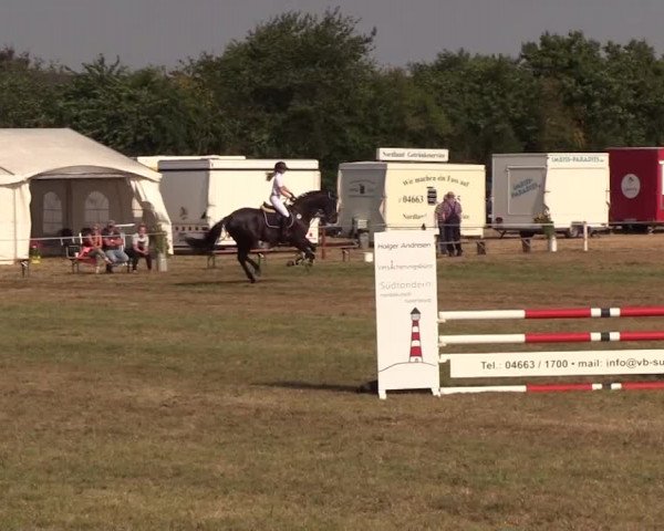 Reitturnier Ladelund 2018