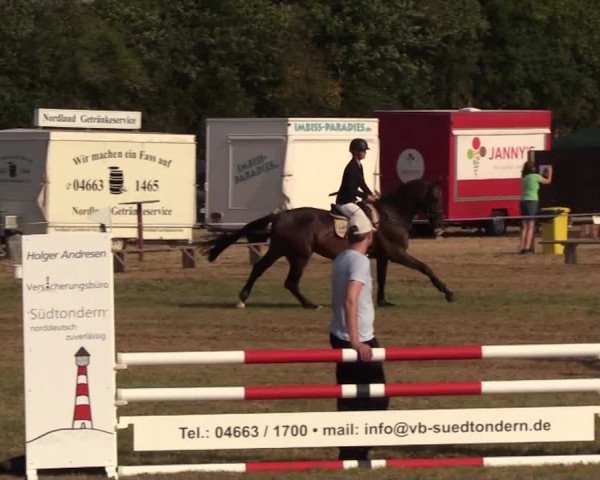 Reitturnier Ladelund 2018