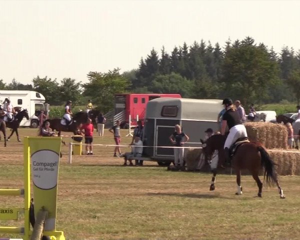Reitturnier Ladelund 2018