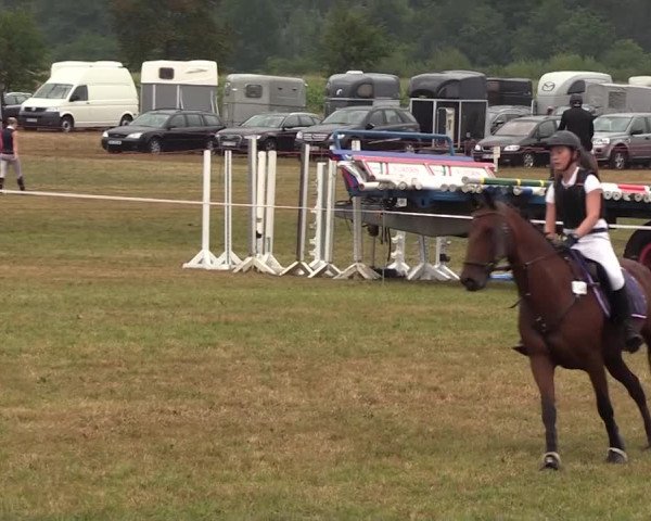 Reitturnier Ladelund 2018