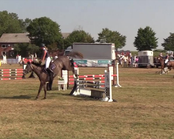 Reitturnier Ladelund 2018
