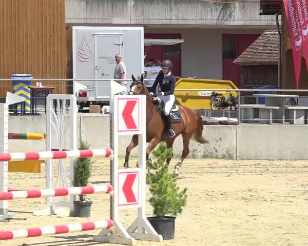 Schwyzer Pferdesporttage 2018