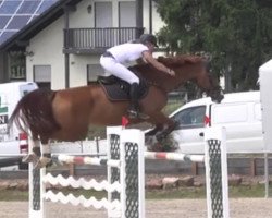 jumper Pik Flash (Westphalian, 2007, from Pik Labionics)