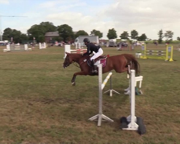 Reitturnier Ladelund 2018