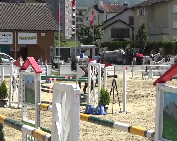 Schwyzer Pferdesporttage 2018