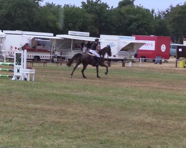 Reitturnier Ladelund 2018