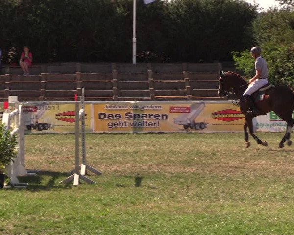 Reitturnier Baschütz bei Bautzen 2018