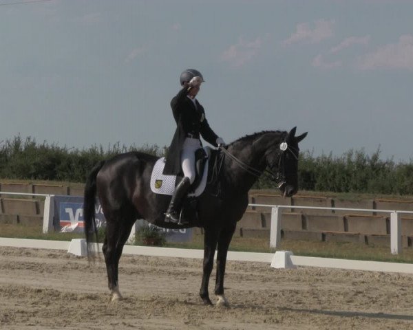 Reitturnier Baschütz bei Bautzen 2018