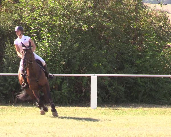 Reitturnier Baschütz bei Bautzen 2018