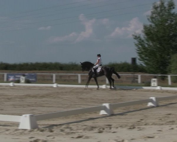 Reitturnier Baschütz bei Bautzen 2018