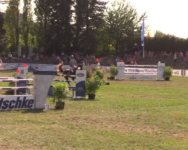Reitturnier Baschütz bei Bautzen 2018