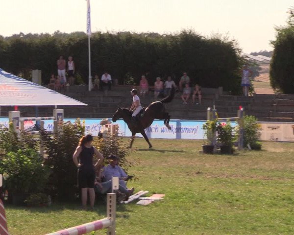 Reitturnier Baschütz bei Bautzen 2018
