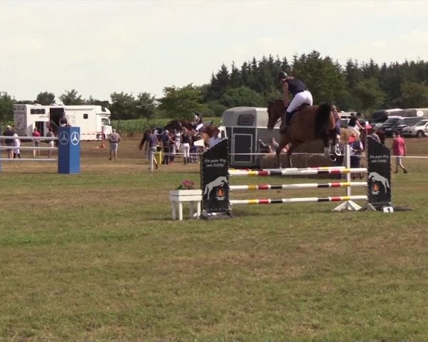 Reitturnier Ladelund 2018