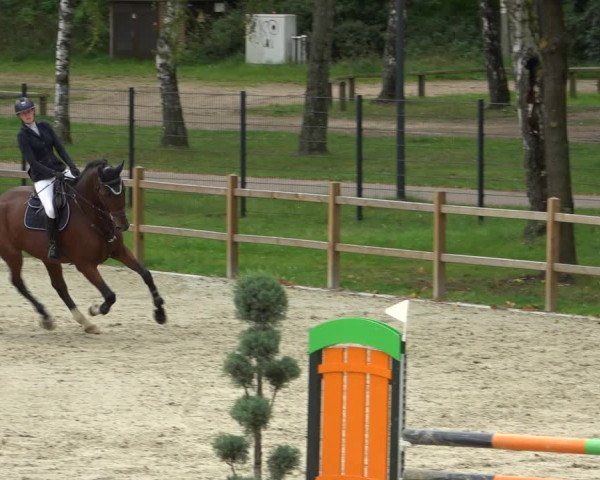 Reitturnier Westergellersen 2021