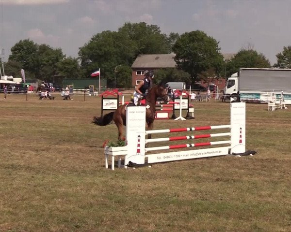Reitturnier Ladelund 2018
