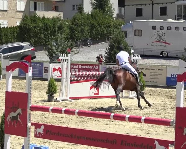 Schwyzer Pferdesporttage 2018