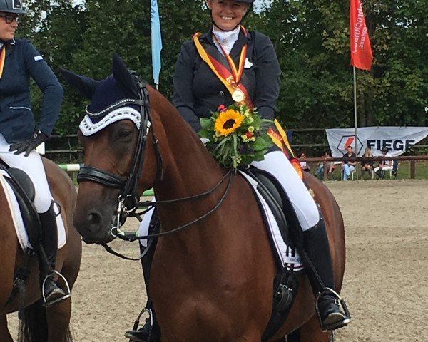 Dressurpferd Sir Stuart (Trakehner, 2008, von Münchhausen)