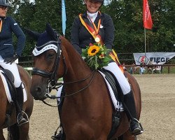 Dressurpferd Sir Stuart (Trakehner, 2008, von Münchhausen)