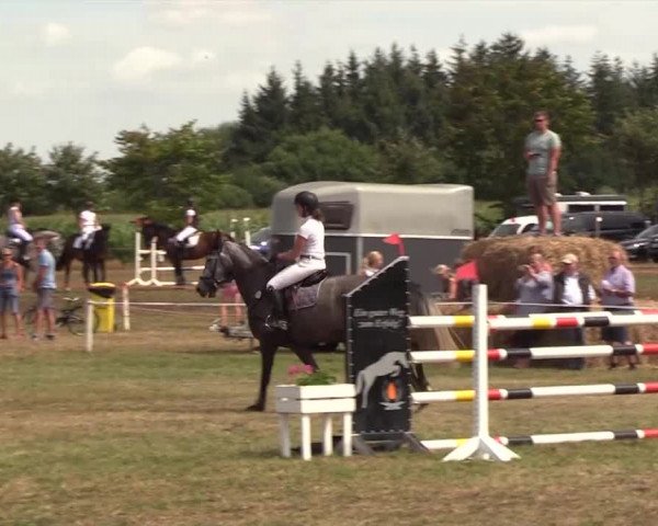 Reitturnier Ladelund 2018